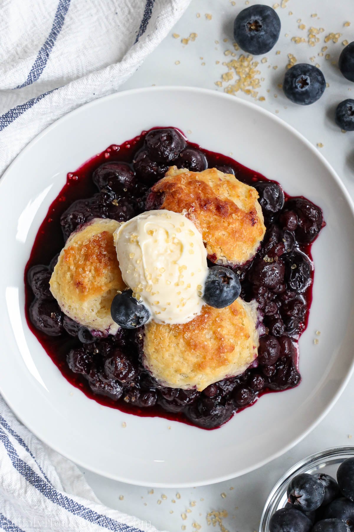 Blueberry Cookbook